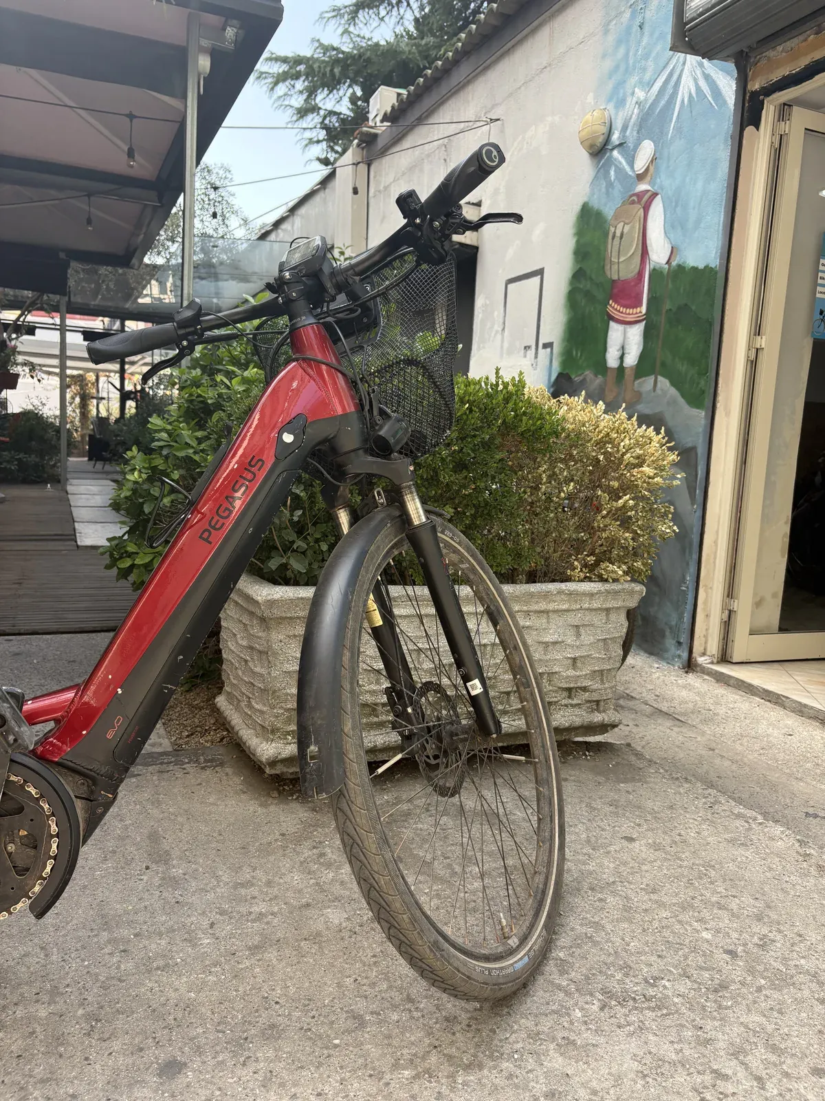 Pegasus front fork, wheel and frame condition