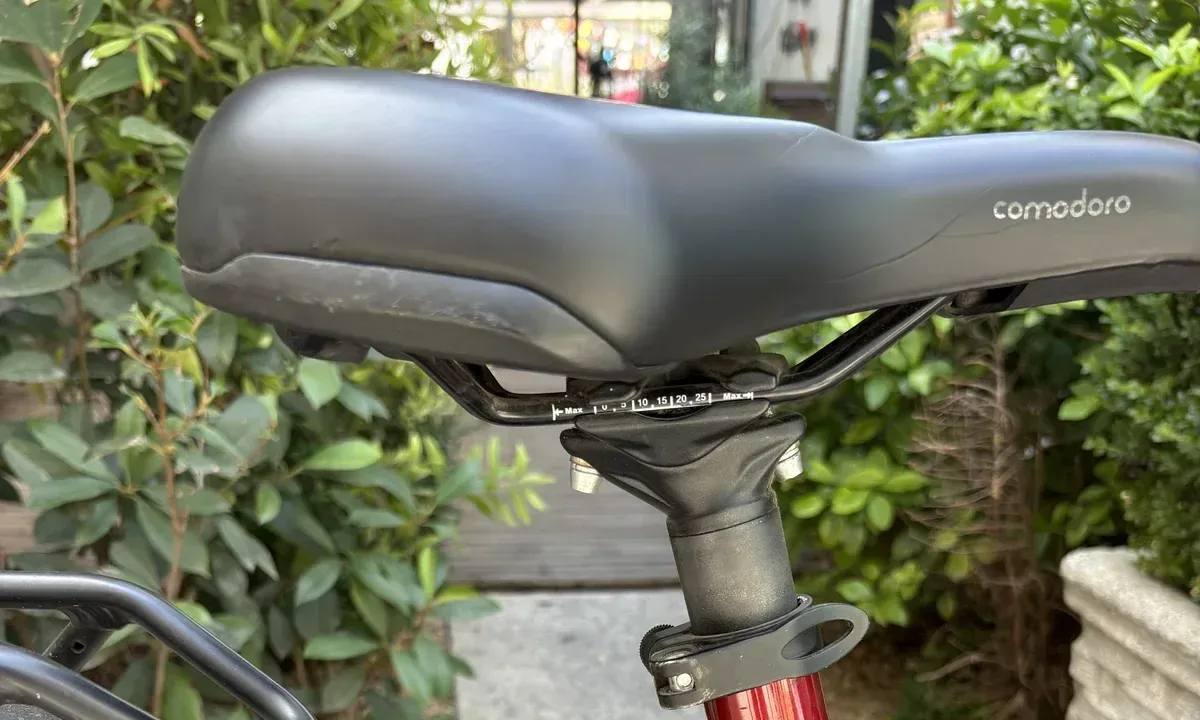Pegasus saddle, seatpost and visible cosmetic condition